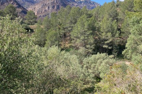 Landejendom i El Perello, Tarragona, El Perello - € 36.000 | Ref: Finca Montanas - foto 22